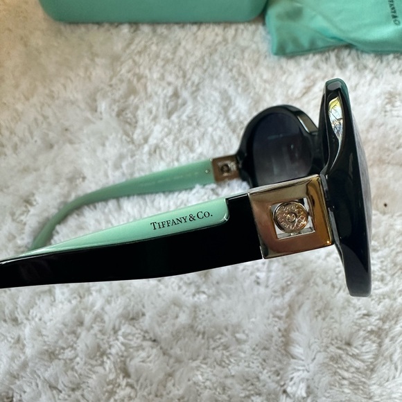 Tiffany & Co. Black and Mint Sunglasses main image 12